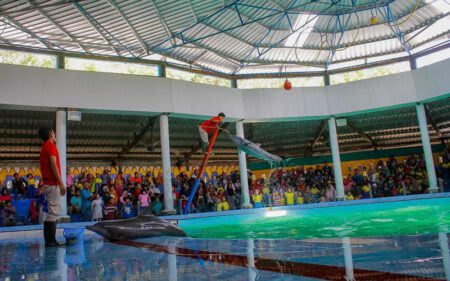 4 Tempat Wisata Seru di Kendal, Nomor 2 Bisa Lihat Atraksi Lumba-lumba