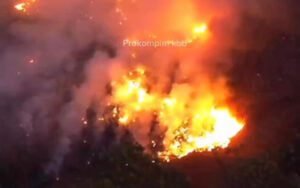 Kebakaran Hutan Dekat TPA Sarimukti, DLH Jabar Ungkap Kondisi Terkini TPA Sarimukti