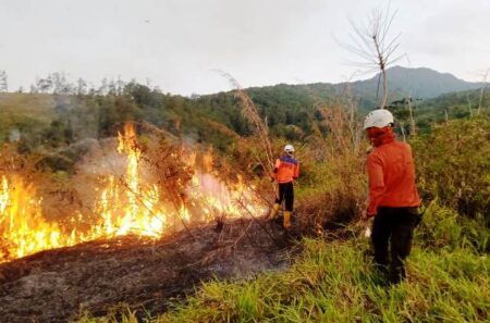 Puncak Kemarau Juli-Agustus, BPBD Sumedang Ingatkan Warga Waspada Karhutla