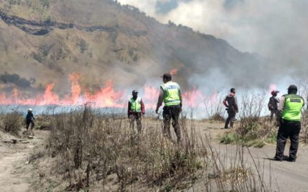 Kebakaran Bromo