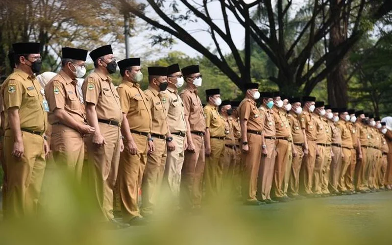 CPNS Kemenag