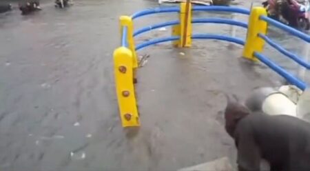 Kembali Diguyur Hujan Deras dan Angin Kencang, Saluran Leuwipanjang Meluap