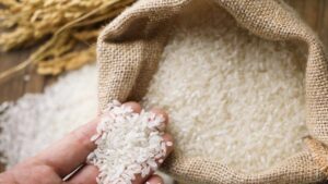 Panduan Lengkap Zakat Fitrah 1447 H: Nominal Terbaru, Niat, dan Batas Waktu Bayar