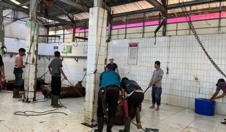 Melihat Aktivitas RPH Cirangrang, Tempat Penyembelihan Hewan Kurban Milik Jokowi di Bandung