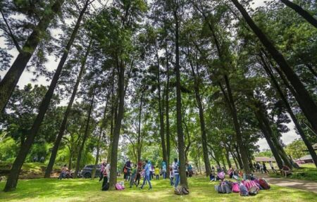 Healing Tipis-tipis, Ini 3 Tempat Wisata Alam di Depok Paling Recommended