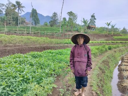 Terima Bantuan Bibit hingga Permodalan, Petani Harap Program Kartu Tani Sibedas Dilanjutkan