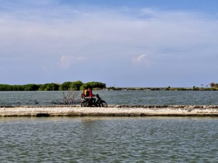 EIGER Gelar Nobar Film ‘Matra Pantura’, Dokumenter Perjuangan Warga Selamatkan Desa dari Abrasi