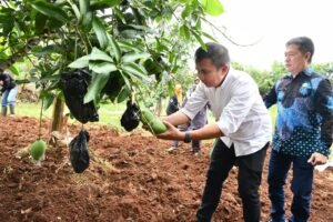 Bey Harapkan Desa Wisata Edukasi Cibiru Wetan Jadi Inspirasi Bagi Desa Lain
