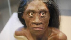 Misteri Manusia Hobbit Purba di Indonesia, Masih Hidup?