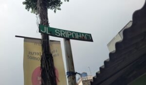 Mengenal Nyi Pohaci Lewat Jalan Sri Pohaci, Simbol Keseimbangan Alam di Kota Bandung