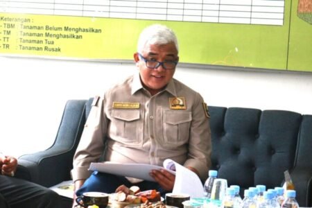 Dukung Petani Kakao Kabupaten Bandung, Saeful Bachri Usulkan Akses Bibit Berkualitas