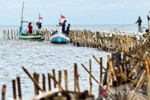MUI Dukung Pemilik Pagar Laut Tangerang Didenda dan Diproses Hukum
