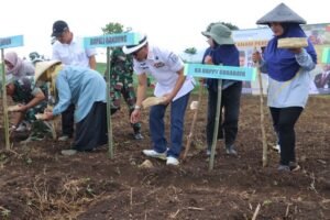 Ini Strategi Bupati Bandung Dadang Supriatna Dukung Ketahanan Pangan Prabowo