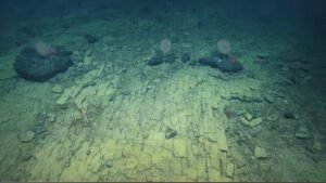 Penemuan Susunan Batu Kuning Misterius di Dasar Laut Hawaii, Jalan ke Atlantis?