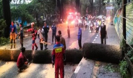 Bandung Dihantam Cuaca Ekstrem, Waspada Banjir dan Pohon Tumbang!