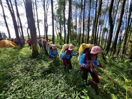 75 Perempuan Peserta EIGER WJSC 2025 Ikuti Pelatihan Survival di Hutan Gunung Galunggung