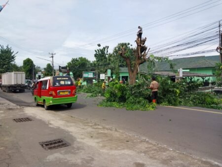 Disperkim Purwakarta