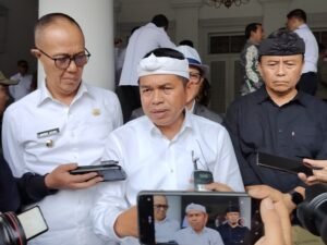 Dedi Mulyadi