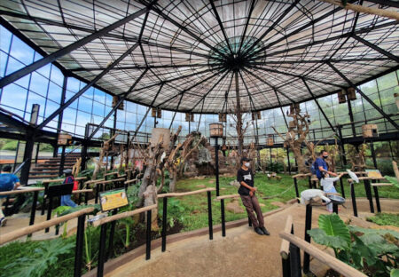 5 Tempat Wisata Terpopuler di Bandung 2025 yang Wajib Masuk Daftar Kunjunganmu!