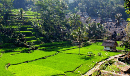 Liburan ke Tasikmalaya? Ini 5 Tempat Wisata yang Wajib Dikunjungi