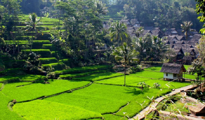 Liburan ke Tasikmalaya? Ini 5 Tempat Wisata yang Wajib Dikunjungi