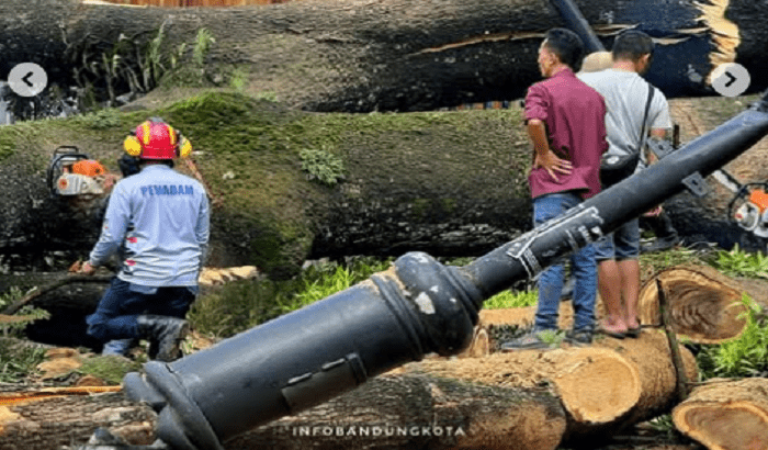 Pohon Trembesi Tumbang di Dago Bandung, 3 Orang Luka-Luka