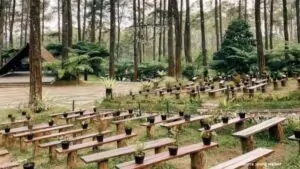 Bikin Bonding Makin Erat! Ini 3 Destinasi Wisata Hits di Bandung yang Paling Pas buat Acara Rombongan