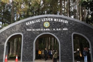 4 Tempat Hiking di Bandung yang Lagi Hits, Nomor 1 Cocok untuk Pemula! Wisata Bandung Murah