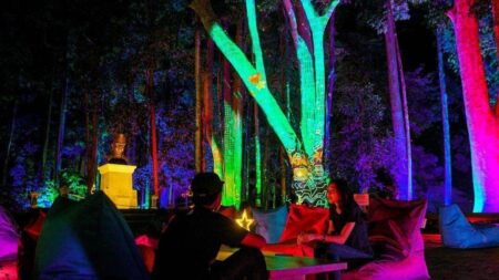 Panduan Lengkap Wisata Bandung: Hidden Gem hingga Kuliner Hits 2025 hutan menyala