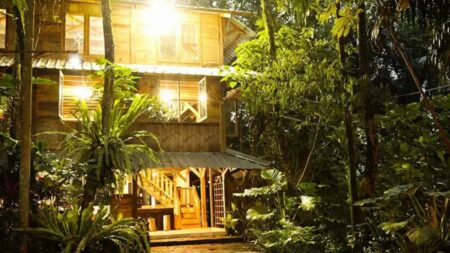 Deket Banget dari Jakarta! Ini Tempat Liburan di Depok yang Lagi Viral Suasana sejuk di Kampoeng 99 Pepohonan, salah satu favorit wisata Depok untuk keluarga.