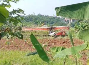Langit Bogor Geger! Pesawat Latih FASI Jatuh di Kawasan Ciampea