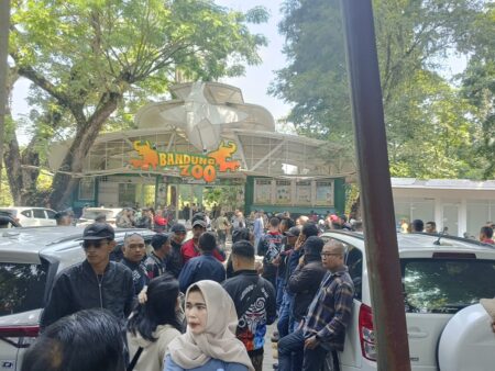 Kericuhan Warnai Penutupan Sementara Bandung Zoo, Massa Jebol Gerbang Bandung Zoo