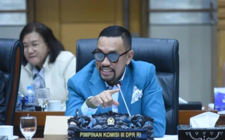 Sahroni Muncul Usai Dua Bulan Menghilang, Tuding Pendemo Tak Bayar Pajak Anggota DPR RI, Ahmad Sahroni