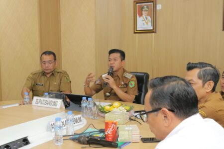 Bupati Bandung Dadang Supriatna