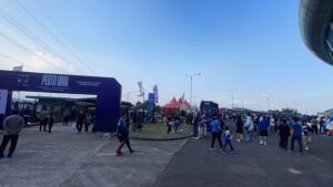 Pestua Biru Persib