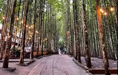 Butuh Healing? Kunjungi 5 Tempat Wisata Bogor Terbaru 2025, Murah dan Bikin Betah!