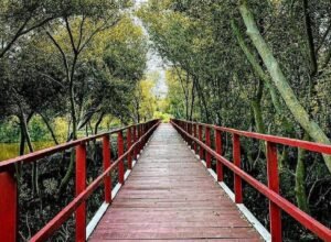 Bosan ke Bandung? Intip 20 Hidden Gem di Indramayu yang Lagi Hits, Estetik Parah!