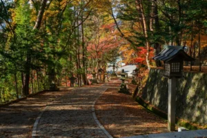 Rumah Tokyo Malani, salah satu wisata di Bogor dengan suasana mirip Luar Negeri.