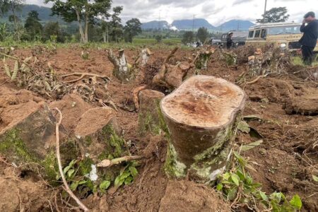 Aktor Intelektual Perusakan Kebun Teh Pangalengan Diburu Polresta Bandung