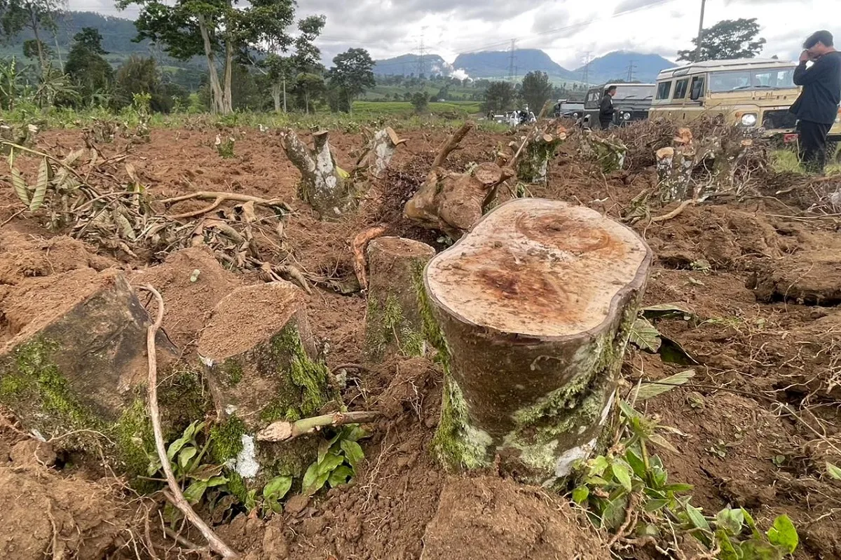 Aktor Intelektual Perusakan Kebun Teh Pangalengan Diburu Polresta Bandung