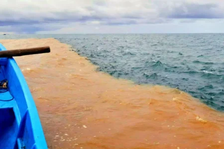 Misteri Dua Warna di Pantai Baron Terungkap, Begini Proses Terjadinya