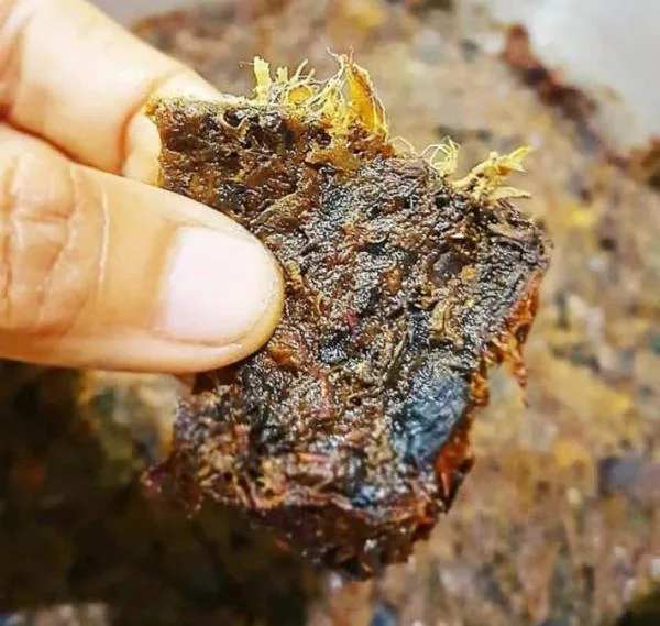 Mau Wisata Kuliner? Cimahi Punya 4 Hidangan Khas yang Bikin Ketagihan