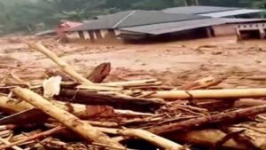 Gelondongan Kayu di Tengah Banjir Sumatera: Jejak Deforestasi yang Mengalir Bersama Arus