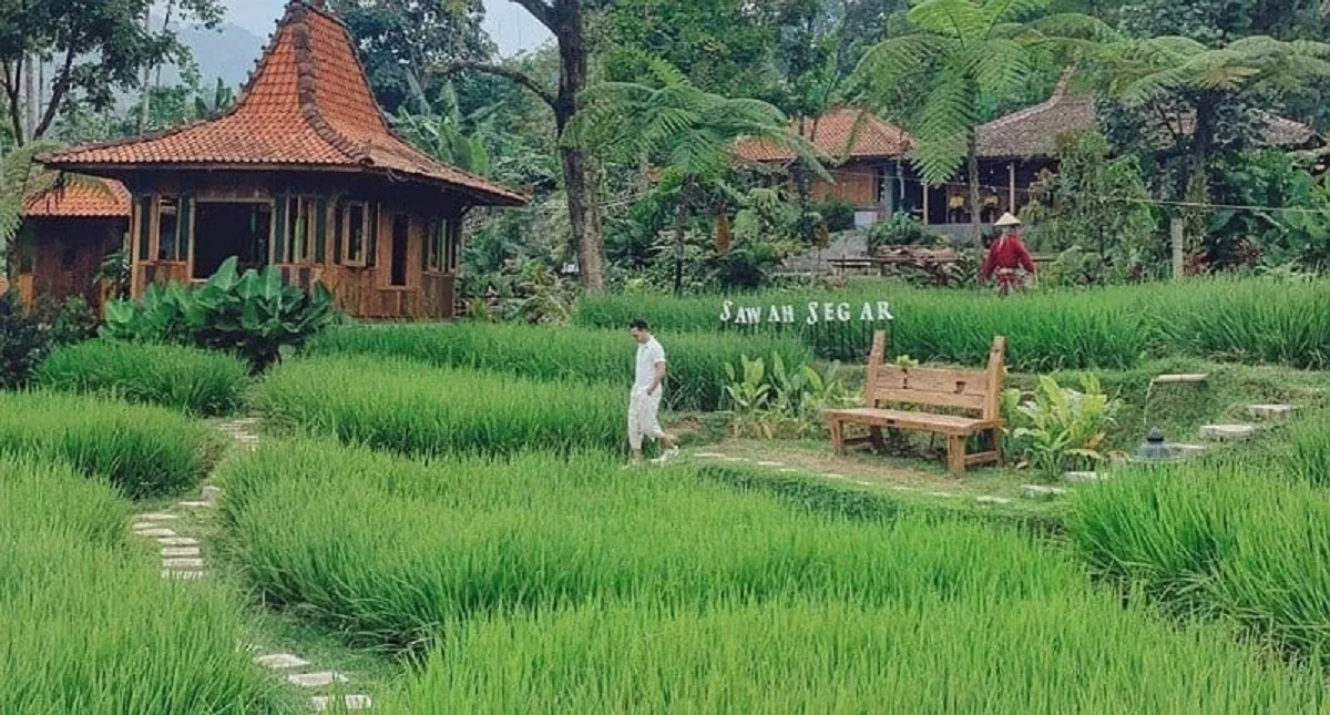 12 Tempat Makan di Bogor dengan Pemandangan Alam yang Memukau
