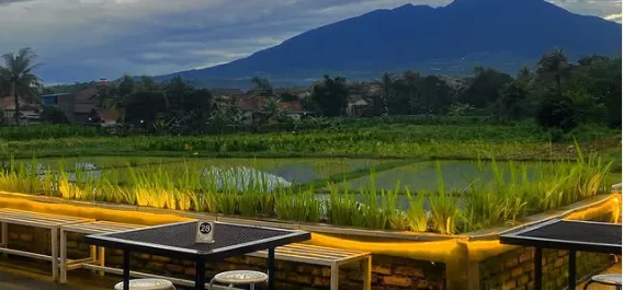 5 Tempat Kuliner Bogor 2025 yang Lagi Viral: Cafe Aesthetic sampai Street Food Kekinian!