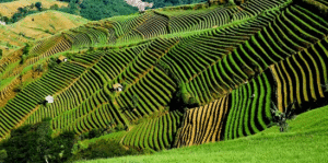 10 Tempat Wisata Hits di Jawa Barat 2025, Liburan Seru dan Instagramable
