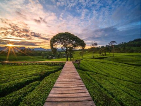 Lebih Indah Saat Hujan: 5 Spot Healing Jawa Barat dengan View Kelas Dunia