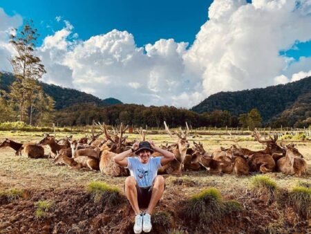 Wisata Alam Ramah Anak di Bandung: Flora, Fauna, dan Petualangan Seru untuk Liburan Nataru