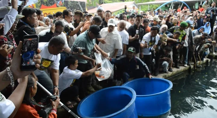 Fantastis! Bos Koi Tebar 2.000 Ekor Benih Premium Senilai Rp2 Miliar di Situ Cipanten