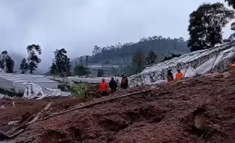 Evakuasi Terus Berlanjut, Korban Longsor Cisarua Bertambah Jadi 29 Orang